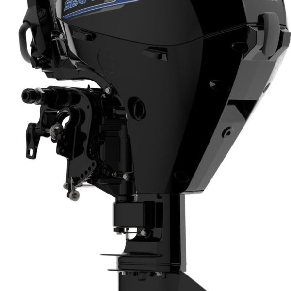 Mercury F15 SeaPro Aussenborder