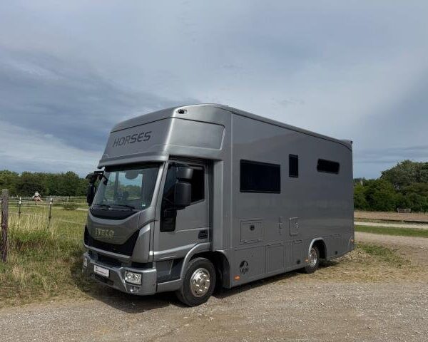 Iveco 80E Pferdetransporter – Baujahr 2022